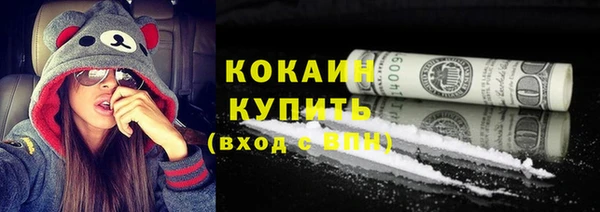сатива Лабытнанги