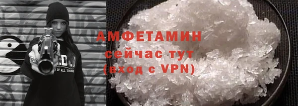 сатива Лабытнанги