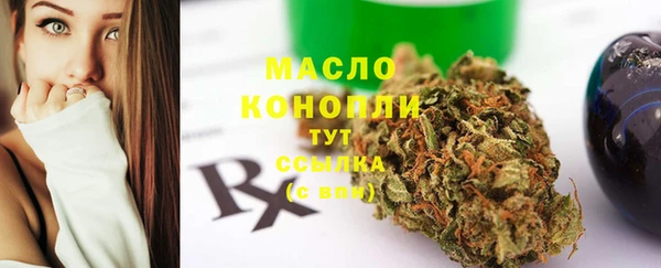 сатива Лабытнанги
