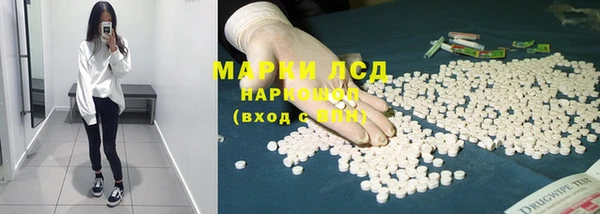 ПСИЛОЦИБИНОВЫЕ ГРИБЫ Ладушкин