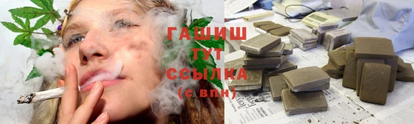 сатива Лабытнанги