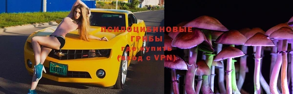 сатива Лабытнанги
