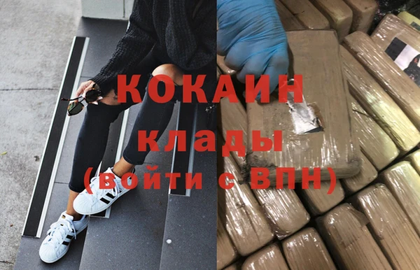 сатива Лабытнанги