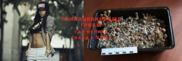 PSILOCYBIN Лагань