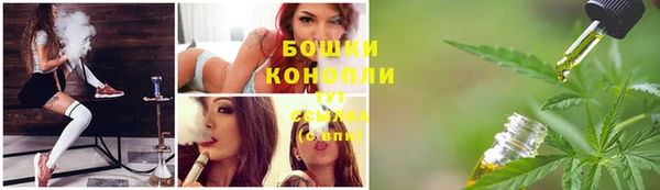 ПСИЛОЦИБИНОВЫЕ ГРИБЫ Ладушкин