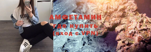 сатива Лабытнанги