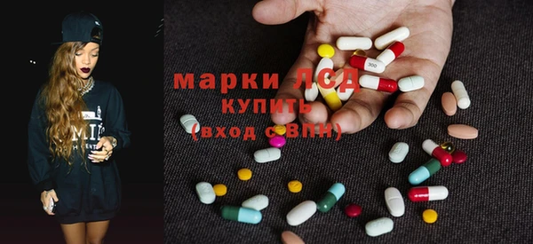сатива Лабытнанги