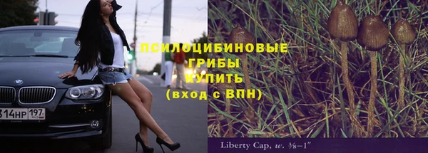 ПСИЛОЦИБИНОВЫЕ ГРИБЫ Ладушкин