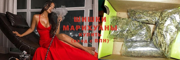 сатива Лабытнанги